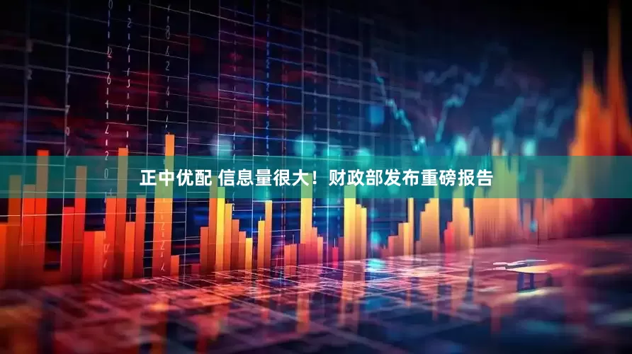 正中优配 信息量很大！财政部发布重磅报告