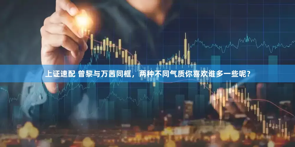 上证速配 曾黎与万茜同框，两种不同气质你喜欢谁多一些呢？