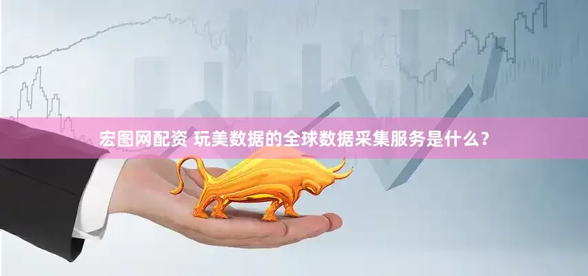 宏图网配资 玩美数据的全球数据采集服务是什么？